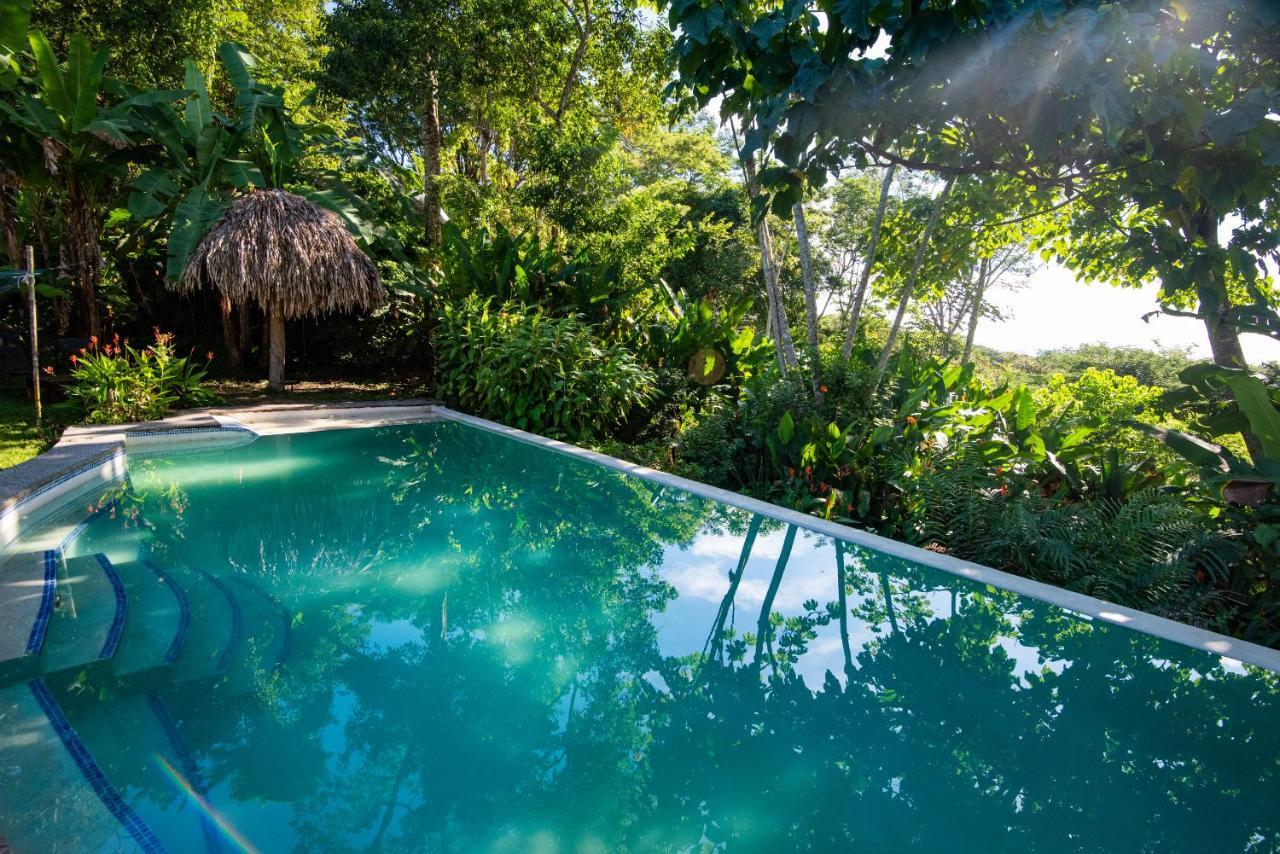 Jungle Lodge At Wild Sun Rescue Center Cabuya  Buitenkant foto